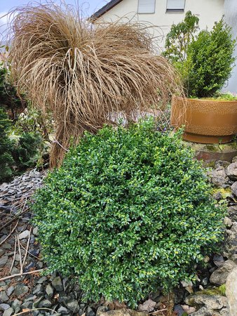 IMG20220410145114.jpg