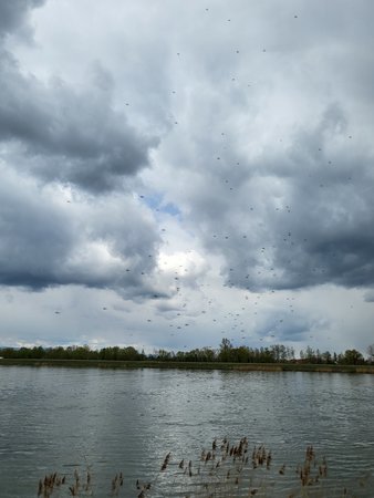 20220410_122621.jpg