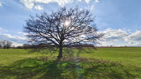 IMG_20220410_173153.jpg