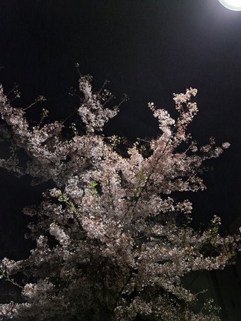 S22_Exynos_20220413_231355.jpg