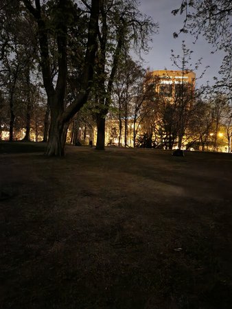 S22_SD_20220413_232229.jpg