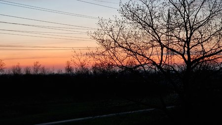 20220414_204534.jpg