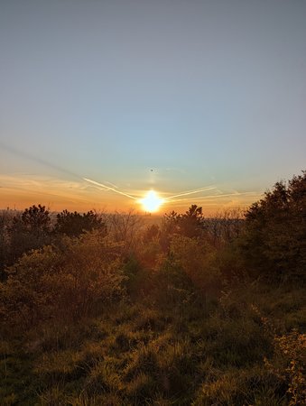 PXL_20220417_181558456.jpg