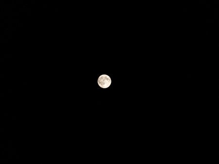 20220416_005332.jpg