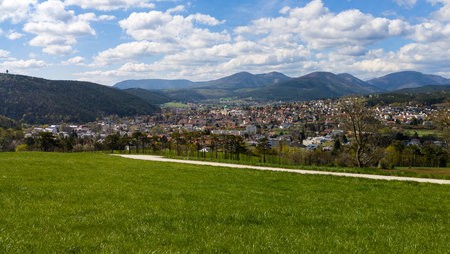 20220417_110031.jpg