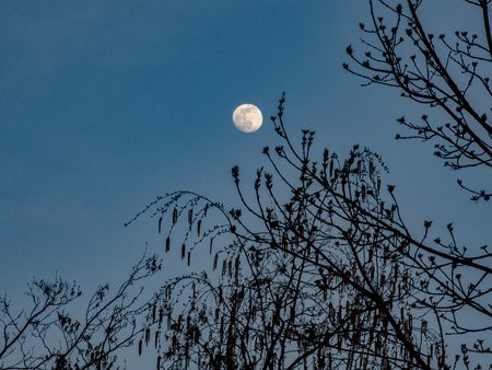 20220414_192452 (1).jpg