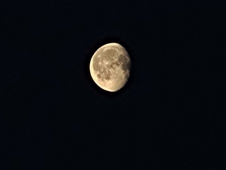 20220420_061604.jpg