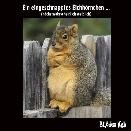 FB_IMG_1650735401225.jpg