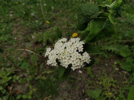 IMG20220423155521.jpg