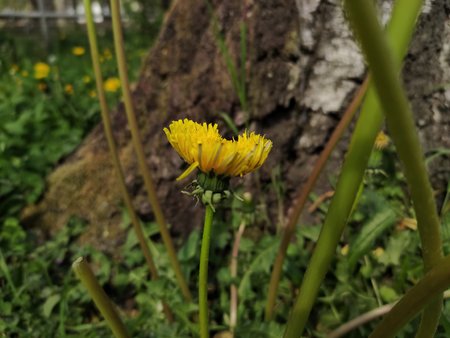 IMG20220423154326.jpg