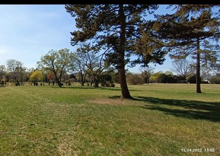 Screenshot_2022-04-24-00-10-07-316_com.google.android.apps.photos.jpg