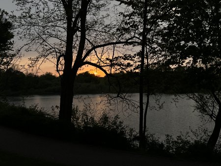 285170A3-B559-48ED-B17C-9253C021D7FA.jpeg
