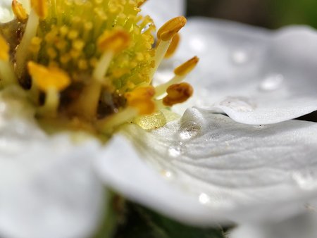 IMG_20220421_112019.jpg