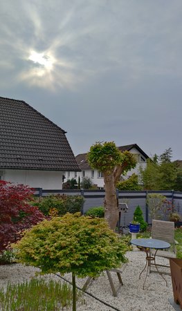 IMG_20220430_104247.jpg