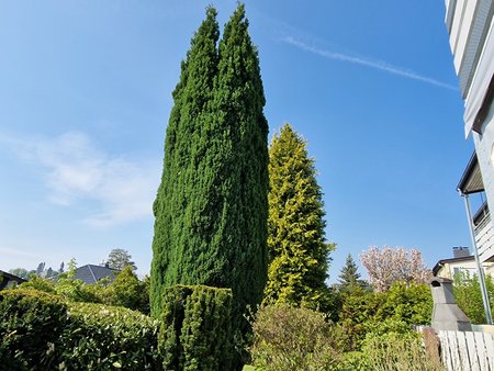 20220502_103331.jpg