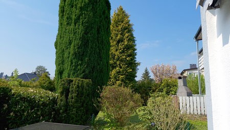 20220502_111828 Kopie.jpg