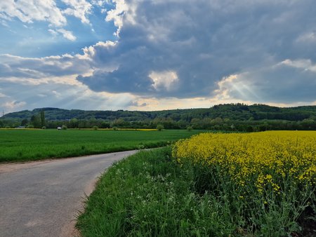 20220502_181129.jpg