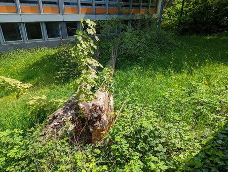 PXL_20220503_111809008.jpg