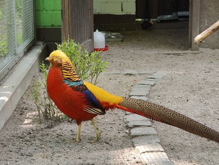 IMG20220503124720.jpg