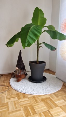 20220505_151030.jpg