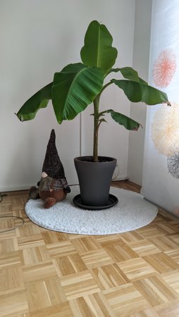 PXL_20220505_151413060.jpg