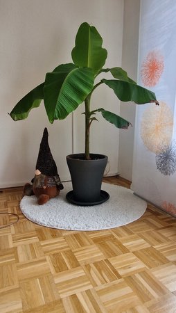 20220505_152343.jpg