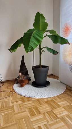 20220505_161848.jpg