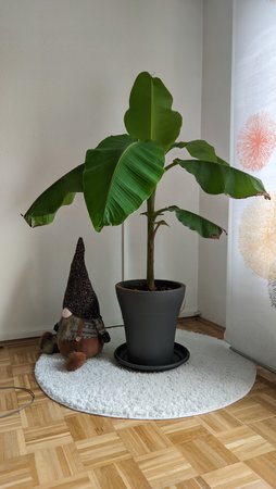 PXL_20220505_162737900.jpg
