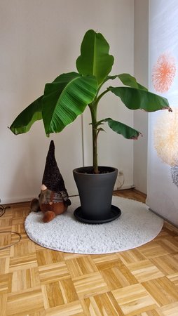 20220505_170906.jpg