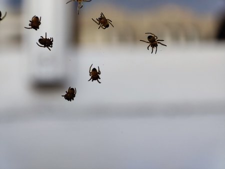 IMG_20220506_110224.jpg