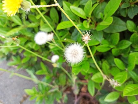 IMG_20220507_103904.jpg