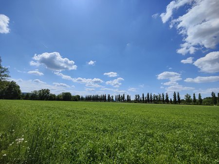 IMG20220507125056.jpg