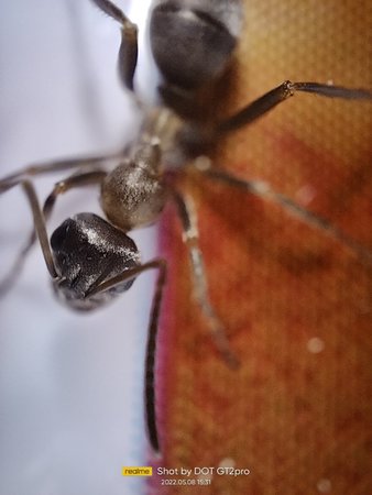 IMG20220508153156.jpg