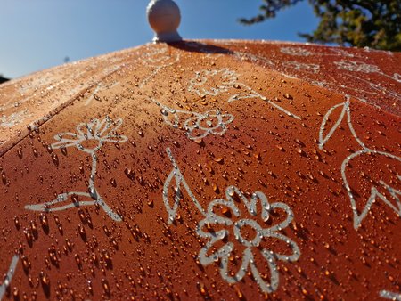 20220508_170156.jpg