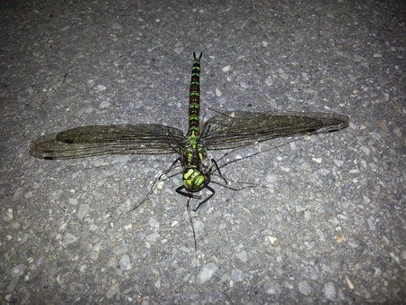 20120905_223614.jpg
