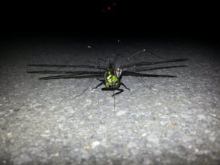 20120905_223604.jpg