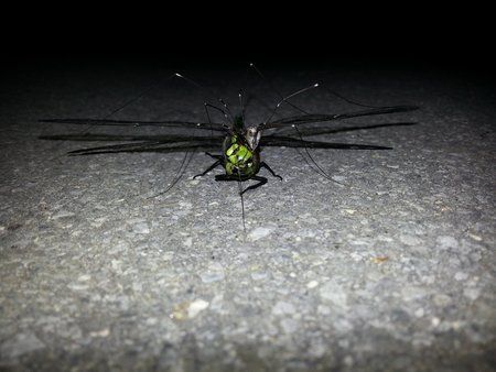 20120905_223558.jpg