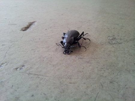 20120910_105617.jpg