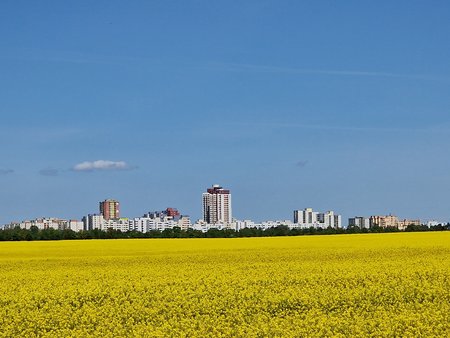 20220508_132542_s22u.jpg
