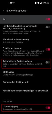 03 USB-Debugging, Automatische Systemupdates.jpg