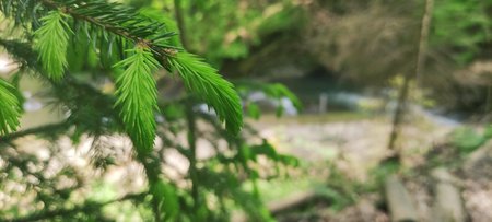 IMG_20220511_115044.jpg