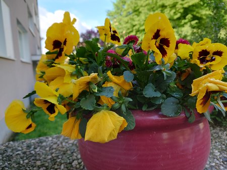 20220512_094529.JPG