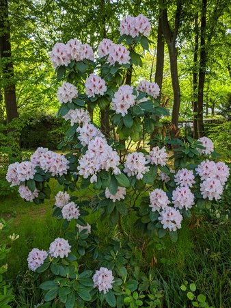 IMG_20220512_094846.jpg