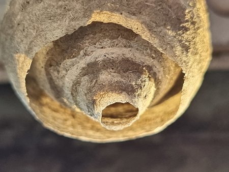 20220512_200159.jpg