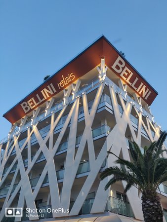 IMG_20220512_203113.jpg