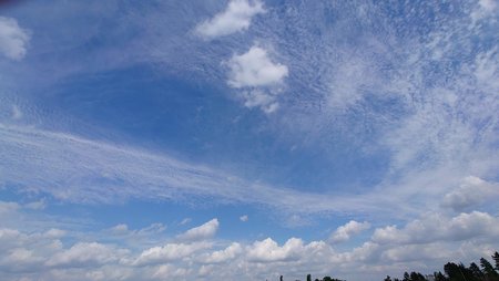 20220513_112357.JPG
