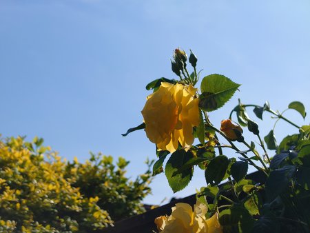 20220513_170833.JPG
