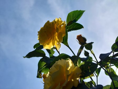 20220513_171003.JPG