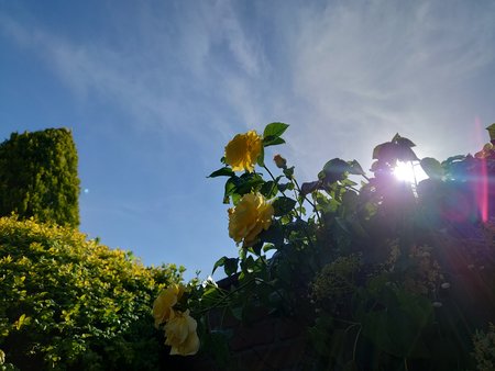 20220513_171054.JPG