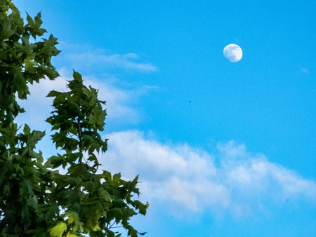 20220513_191554.jpg
